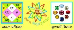 Shree Divya Jyotish