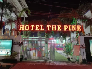 Hotel The Pine
